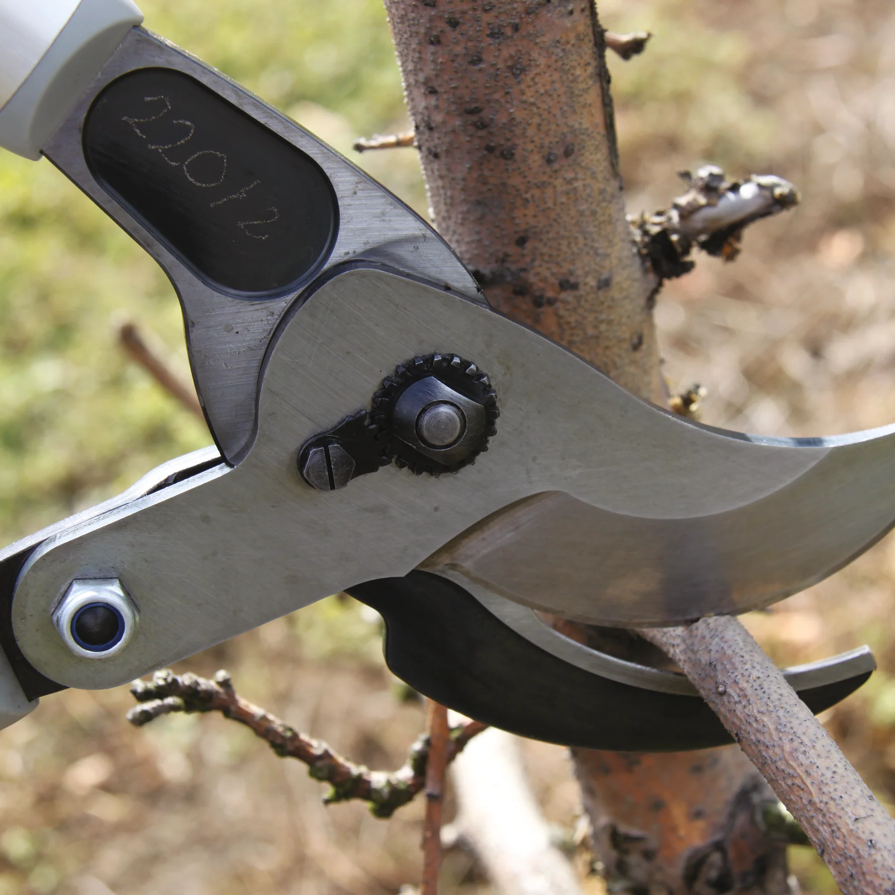FELCO_220-1