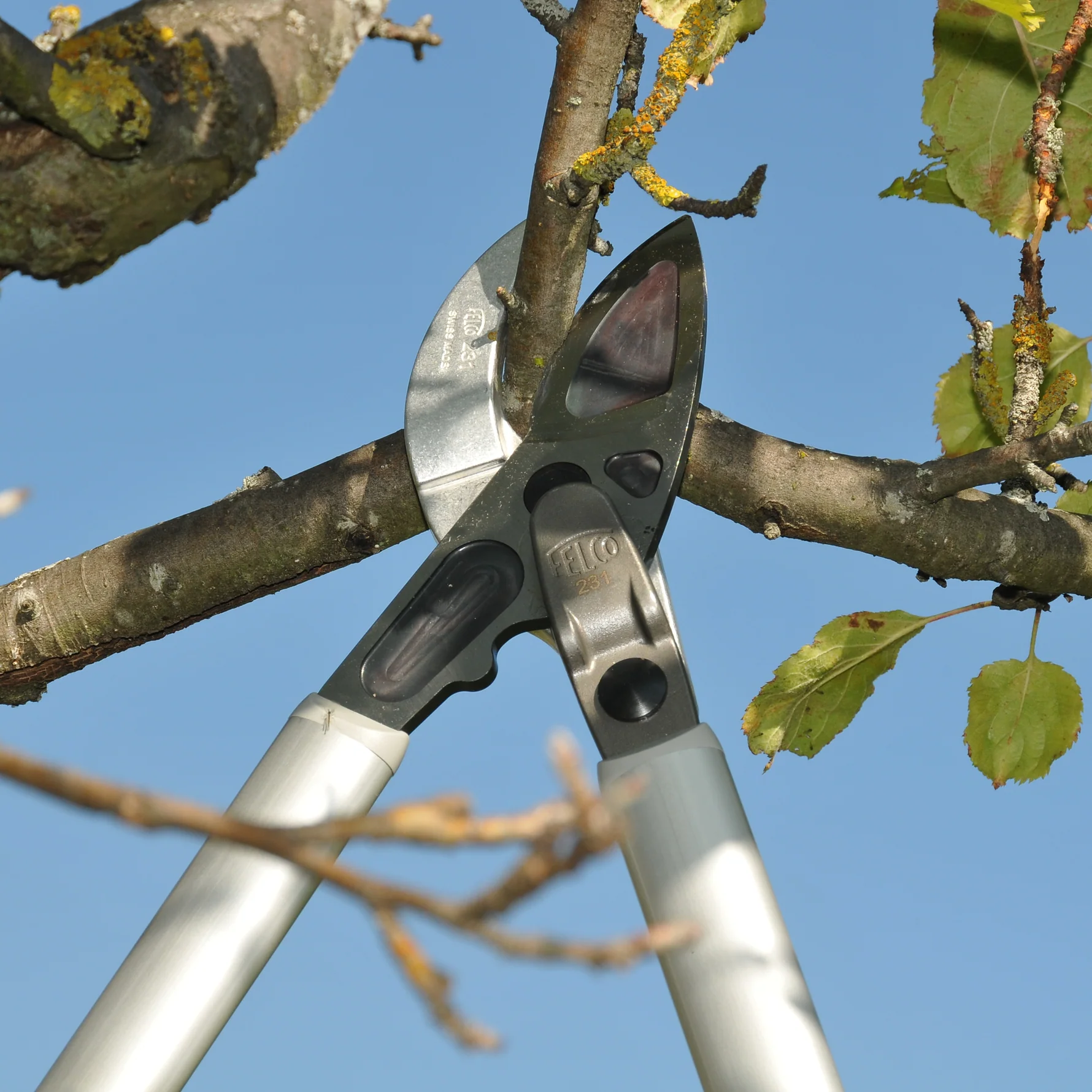 FELCO_231-1